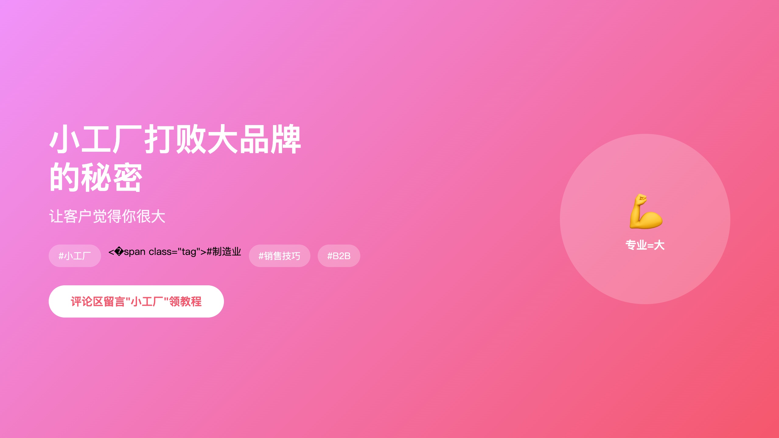 洞察类_小工厂大品牌